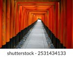 Photo taken from a Sony A6400 with minor editing of the Fushimi Inari Taisha Sembon Torii from Kyoto, Japan. 