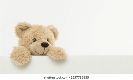 photo of teddy bear peeking isolated on white background