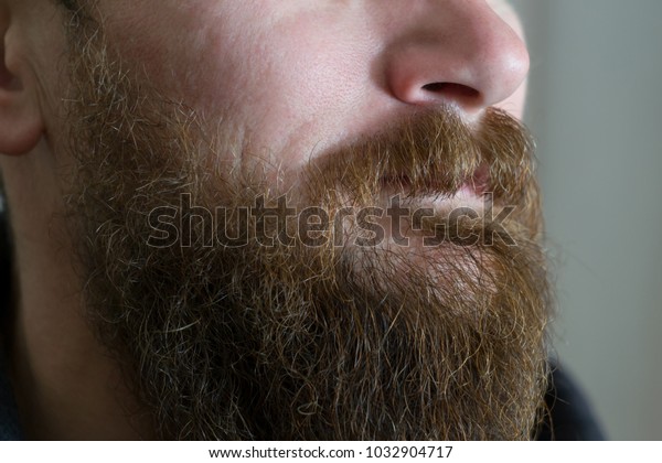 Photo Thick Beard Adult White Male Stock Photo Edit Now 1032904717