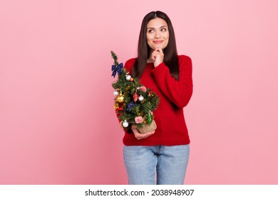 Photo of think brunette lady hold small tree look empty space wear red pullover isolated on pink color background