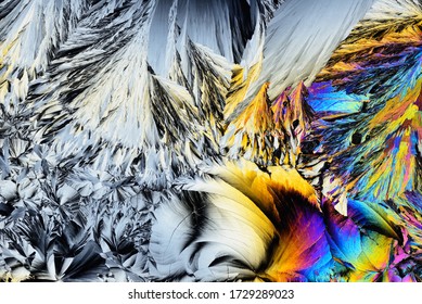 Photo Through A Microscope Of Crystals Growing From The Melt Of Ammonia Alum. Polarized Light Technology. Abstract Art Wallpaper. Background For Design.