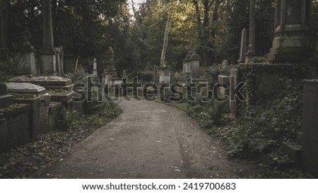 Photo of tombstones in a cemetery, where rows of grave markers stand in solemn remembrance, reflecting the reverence and history of the final resting place