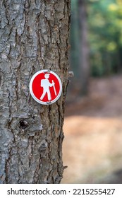 Photo Of A Trail Marker In The Adirondack Park