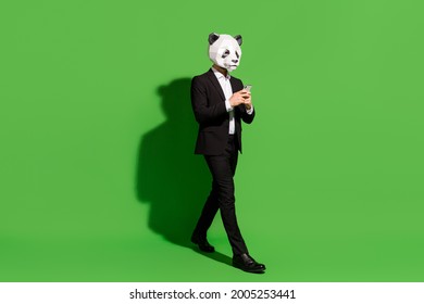 Photo Of Traveler China Blogger Walk Hold Telephone Wear Panda Mask Black Tux Shoes Isolated On Green Color Background