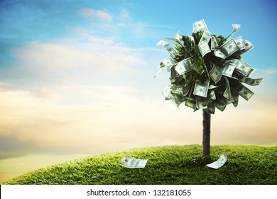 photo of tree made of dollars - Shutterstock ID 132181055