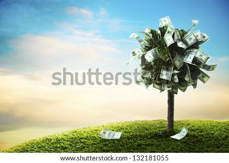 photo of tree made of dollars
