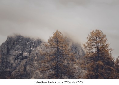 Photo of Trees and Rock Formation Under Foggy Weather