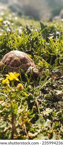 Similar – Foto Bild Aufbruchsstimmung Sommer