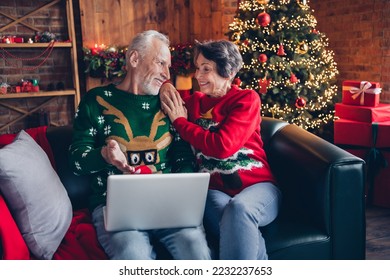 Photo of two peaceful idyllic aged people sitting couch use netbook eshopping hug speak evergreen tree garland decor indoors - Powered by Shutterstock