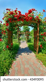 Photo Of Very Nice Garden With Lots Of Roses