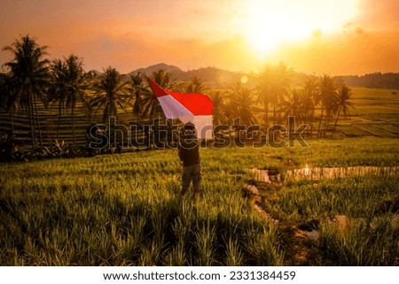 Photo of a village boy waving the Indonesian flag in the middle of a rice field with the silhouette of an optical sunset flair