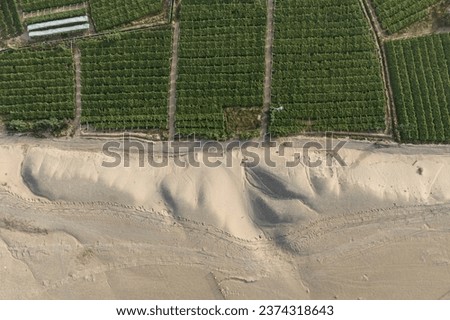 Photo of a vineyard in a desert landscape captured from above, Gansu - China