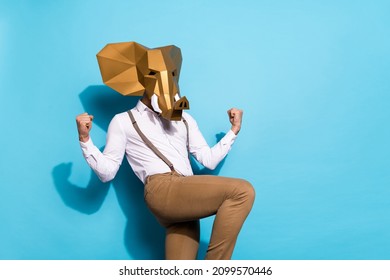 Photo of wacky lucky guy dressed wild animal mask rising fists empty space isolated blue color background