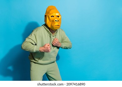 Photo Of Wacky Mardi Costumed Guy Fists Beat Chest Wear Gorilla Mask Sportswear Isolated Blue Color Background