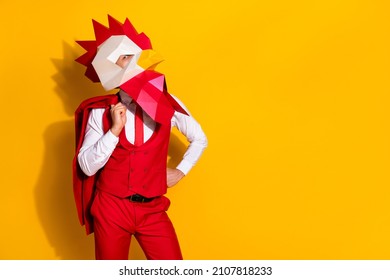 Photo of wacky surreal guy hold jacket prepare carnival outfit wear rooster mask red suit isolated yellow color background