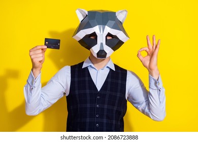 Photo Of Weird Anonym Banker Guy Racoon Mask Hold Debit Card Demonstrate Okey Symbol Isolated Over Yellow Bright Color Background