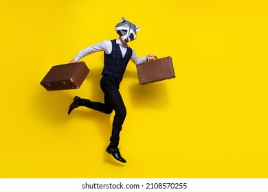 Photo Of Weird Crazy Guy Racoon Mask Jump Run Hurry Hold Vintage Bags Wear Stylish Look Isolated Over Shine Yellow Color Background