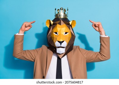 Photo of weird eccentric guy in lion mask festive event character point hand gold tiara isolated over blue color background
