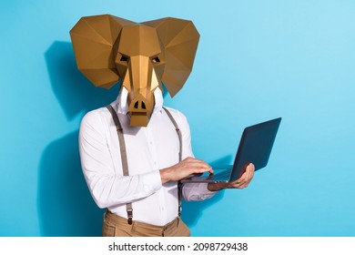 Photo of weird strange man wear elephant working modern gadget empty space isolated blue color background