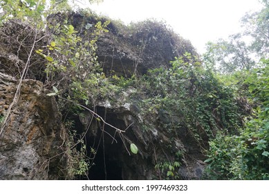 A photo of the white rock cliffs in the cave that form neatly lined stalactites. In addition, there are also high white cliffs. Suitable for use as an educational medium about the rocks in the cave