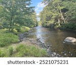 Photo of the Willimantic River taken from the banks