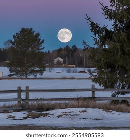 A photo of the Wolf Moon rising over tranquil winter landscapes. The full moon casts a silvery glow on the snow-covered ground. In the foreground, there's a wooden fence and a few trees.  - Powered by Shutterstock