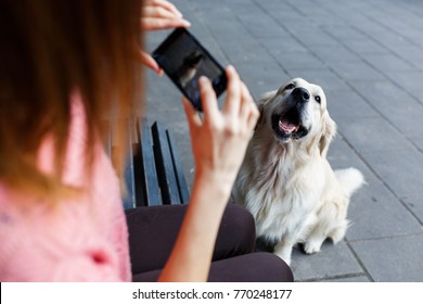 Photo Of Woman On Bench Photographing Dog