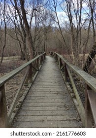 Photo of a wooden bridge in the forest. Autumn landscape with bare trees. Gray bleak and at the same time calm landscape. Photo for banners, backgrounds, templates, textiles, postcards.