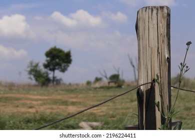 A Photo Of A Wooden Pilar In Nature