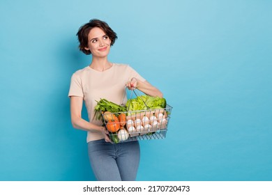 Photo Of Young Adorable Housewife Go Shopping See New Grocery Store Promotion Ad Isolated On Blue Color Background