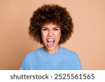 Photo of young aggressive screaming lady with brown hair chevelure in blue knitted sweater isolated on beige color background