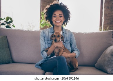 Photo of young cheerful african couple happy positive smile hug animal pet best friend dog sit couch indoors