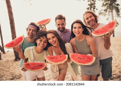 Photo of young cheerful friends happy positive smile eat fruit watermelon beach party countryside outdoors - Powered by Shutterstock