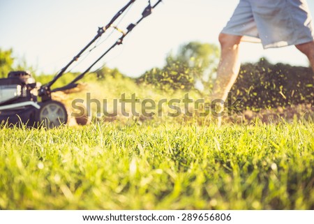 Photo of a young man mowing the grass during the beautiful evening.