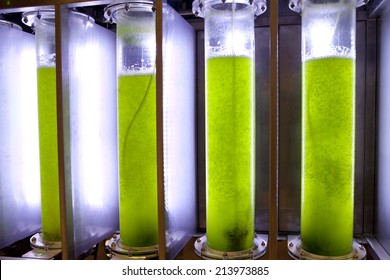 Photobioreactor