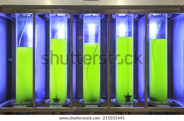 Photobioreactor in lab algae fuel\
biofuel industry Algae fuel or algal biofuel is an alternative to\
fossil fuel that uses algae as its source of natural deposits\
