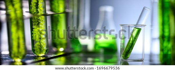 Photobioreactor in laboratory of algae fuel,\
biofuel industry project, Algae research in industrial laboratories\
for medicine