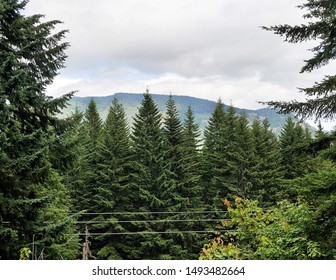 Photogenic View And Open Vista Of The Stampede Pass Area In The State Of Washington