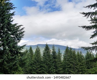 Photogenic View And Open Vista Of The Stampede Pass Area In The State Of Washington