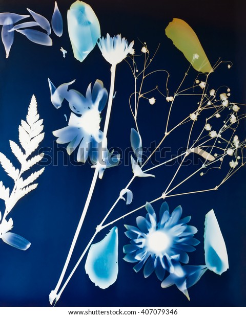 A
photogram made before the digital revolution by placing objects on
light sensitive colored photographic paper and exposing them to
light in the darkroom, and then developing the
paper.