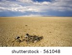 Photograph of Abert Lake in South-Central Oregon, USA