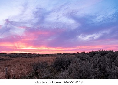The photograph captures a stunning sunset over a heathland, where the sky is painted with a dramatic mix of purples, pinks, and oranges. The clouds are dispersed across the sky, creating a dynamic - Powered by Shutterstock