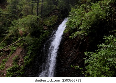 The photograph captures the wild beauty of a mountain waterfall hidden in a dense forest. The water stream falling from the rocky cliff creates the impression of endless power and energy of nature. - Powered by Shutterstock