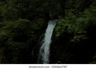 The photograph captures the wild beauty of a mountain waterfall hidden in a dense forest. The water stream falling from the rocky cliff creates the impression of endless power and energy of nature. - Powered by Shutterstock