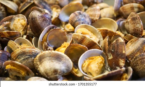 1,907 Butter clam Images, Stock Photos & Vectors | Shutterstock