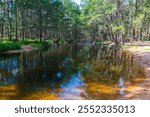 Photograph of the Coxs River in Ganbenang near the six foot track campground in the Blue Mountains in New South Wales, Australia.