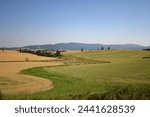 photograph of farm fields and round hay bales ready for harvest in the southwick area off cedar ridge road in clearwater county idaho