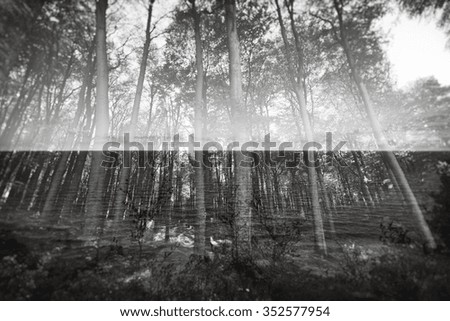 Hänsel & Gretel (Winter Forest)