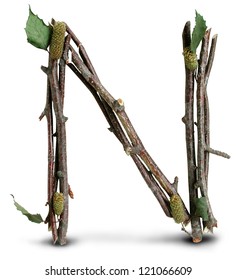 Photograph of Natural Twig and Stick Letter N