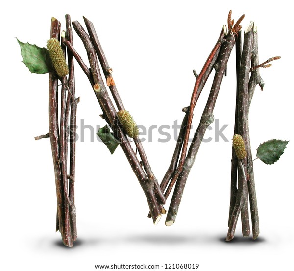 twig medical twig medical